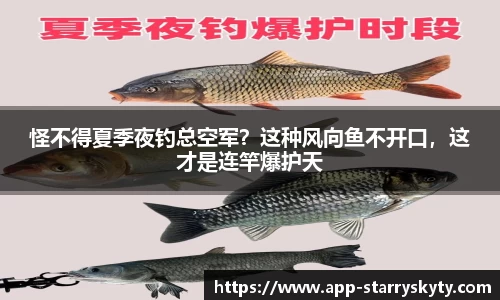 怪不得夏季夜钓总空军？这种风向鱼不开口，这才是连竿爆护天